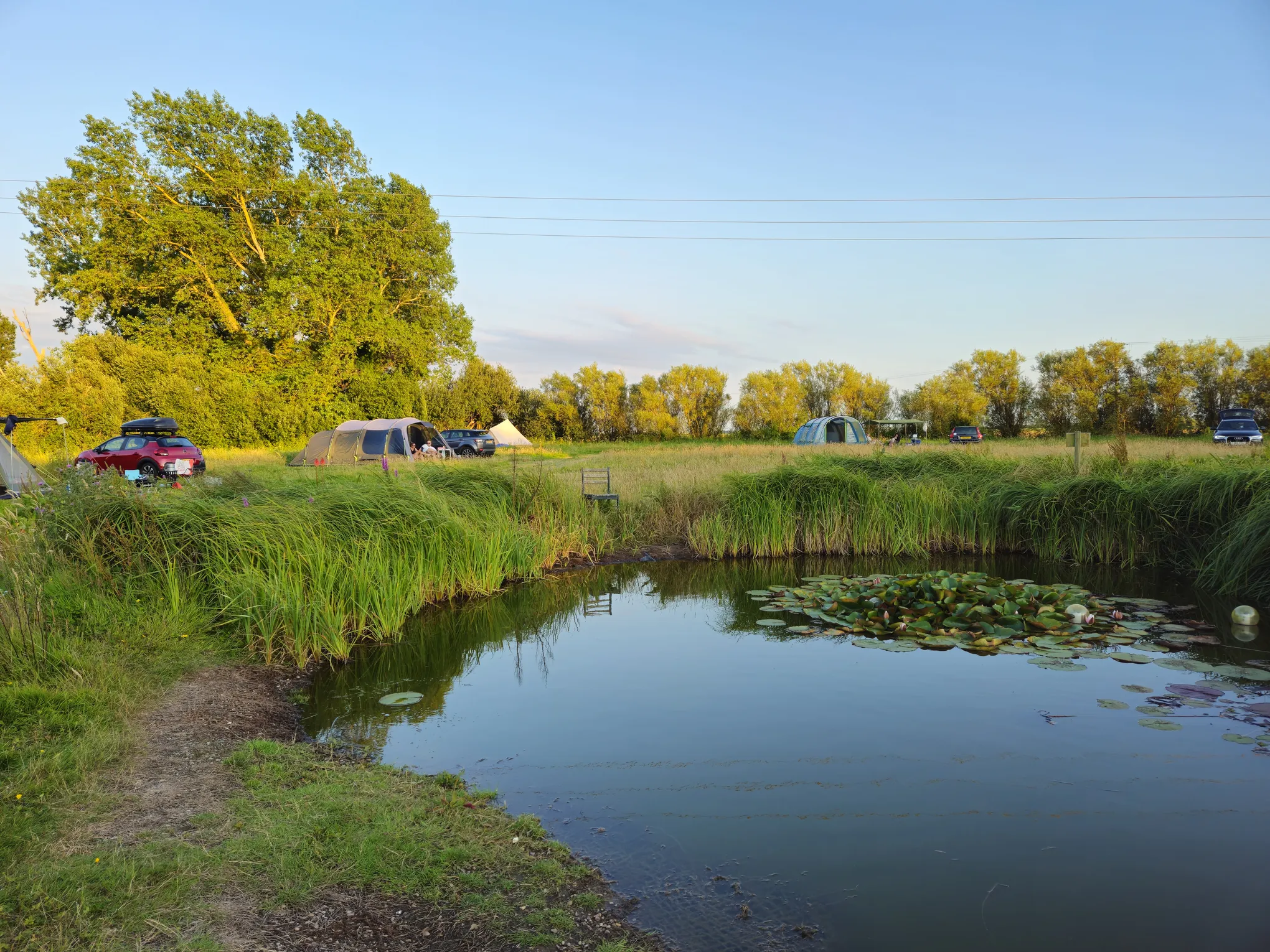 A tent pitched at Jessamine Farm, Romney Marsh